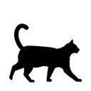 Gato